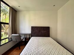 Holland Link (D10), Terrace #546995731